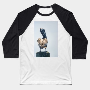 Pelican of Calabash Baseball T-Shirt